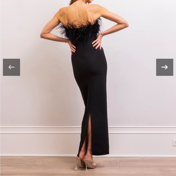 Lisa Marée Art of Silence Feathered Maxi Dress - Picture 9 of 10